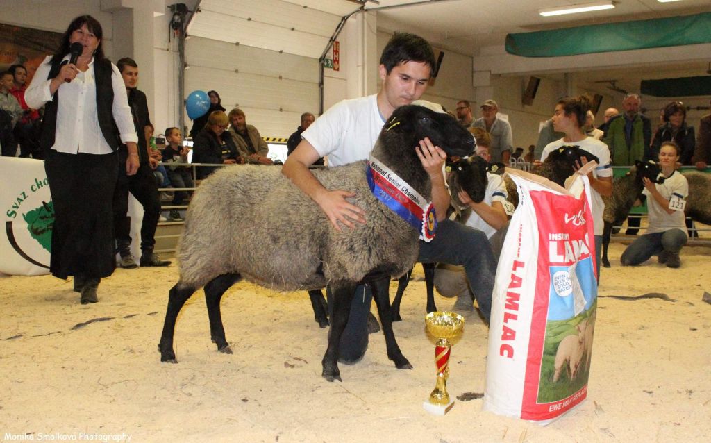 ProVes Hana v Lysé 2017