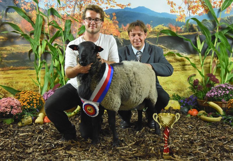 Národní šampionát romanovských ovcí 2021
