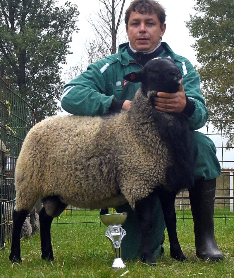 Podzimní elitní nákupní trh v Horní Bučici