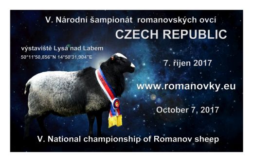 Přípravy na národní šampionát romanovských ovcí v Lysé nad Labem