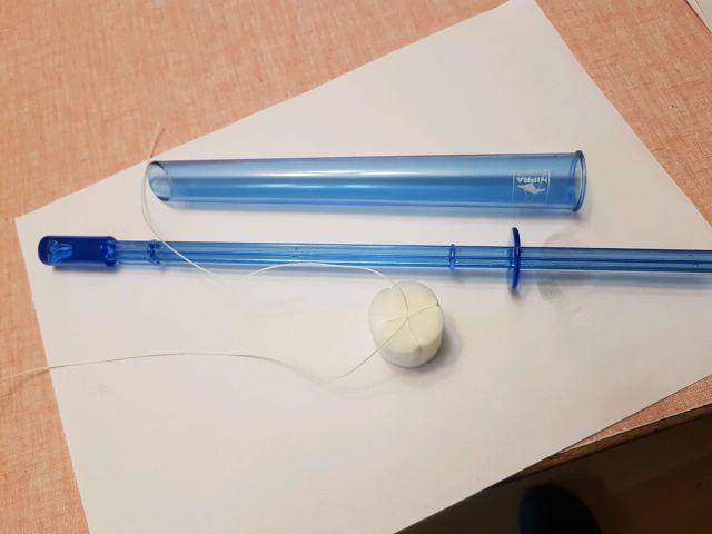 Inseminace romanovských ovcí 2017