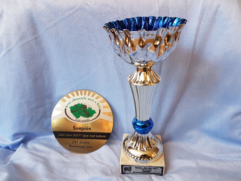 ProVes Zumba je šampiónem ENT Lysá 2017