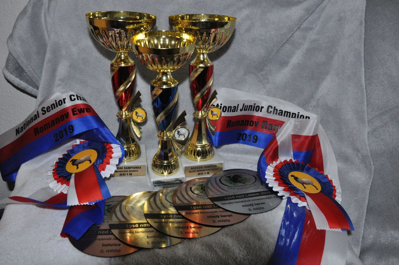 Národní šampionát romanovských ovcí 2019